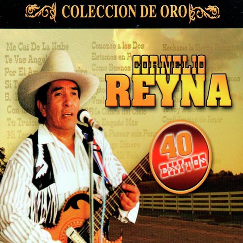 Nadie Sabe cover art