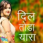 Dil Toda Yara