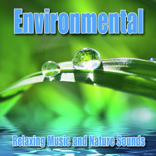 Environmental: Relaxing Music and Nature Sounds