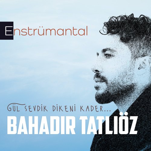 Gül Sevdik Dikeni Kader (Enstrümantal) cover art