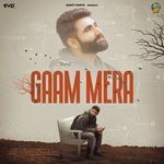 Gaam Mera