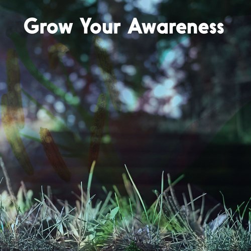 Grow Your Awareness