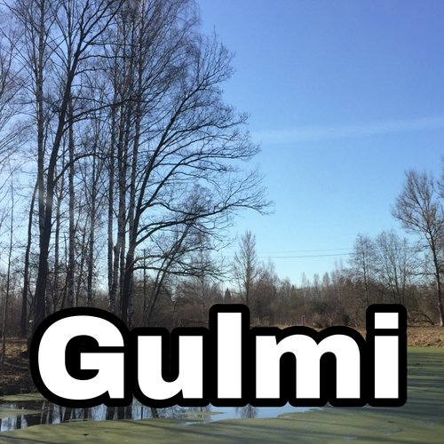 Gulmi