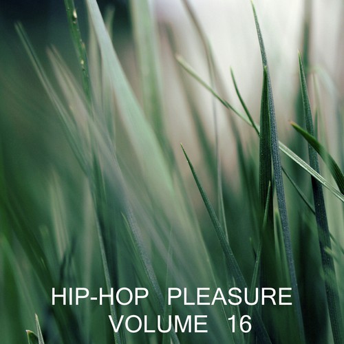 Hip Hop Pleasure, Vol. 16