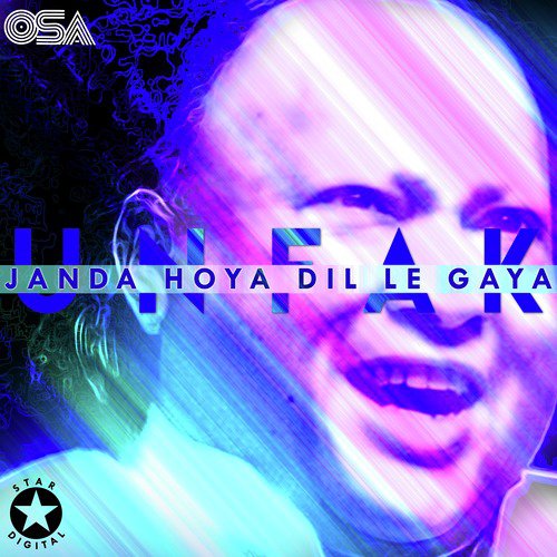 Janda Hoya Dil Le Gaya_poster_image