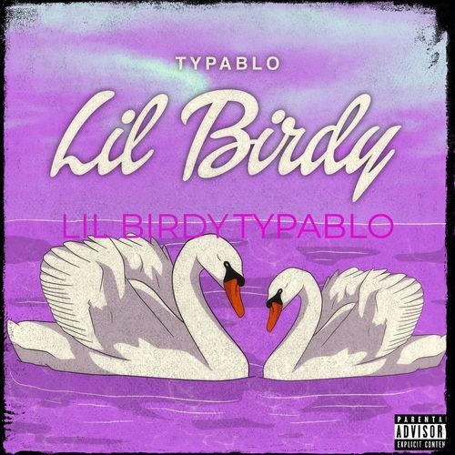 Lil Birdy_poster_image