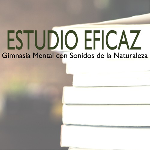 Estudio Eficaz cover art
