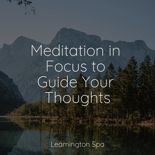 Meditation in Focus to Guide Your Thoughts