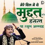 Mere Dil Mai Ye Muddat Se Hai Hasrat Ya Rasool Allah