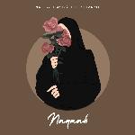 Naqaab (Slowed &amp;Reverb)