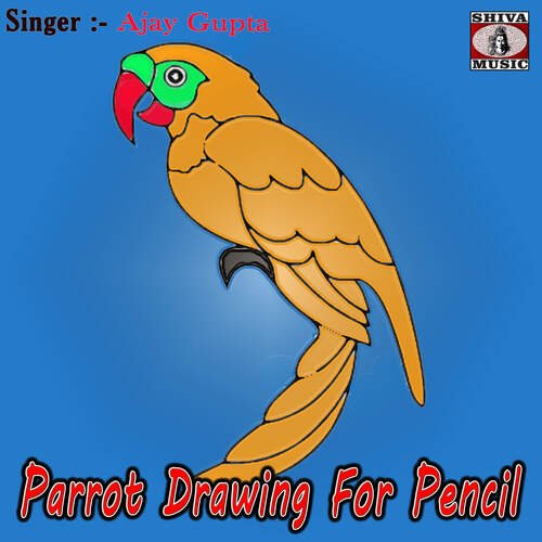 parrot drawing easy and beautiful Archives | Arts Film Academy-saigonsouth.com.vn