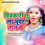 Pichkari Chhu la Ghunghat Tan Ke