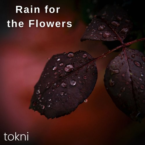 Rain for the Flowers