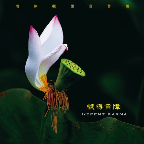 The Voice from Pure Land (Music Version) cover art