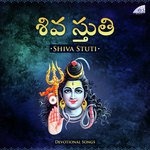 Vishwanadhashtakam