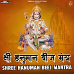 Shree Hanuman Beej Mantra