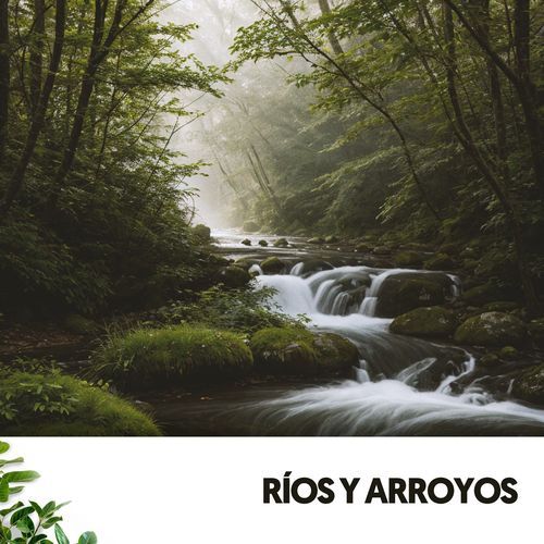 Refugio de Silencio cover art