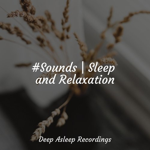 #Sounds | Sleep and Relaxation_poster_image