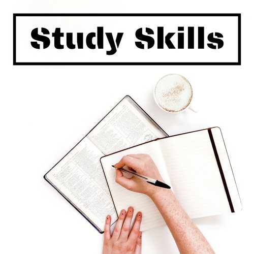 Study Skills cover art