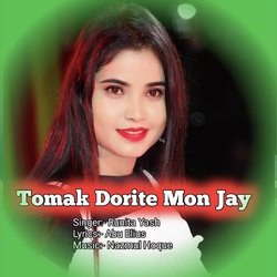 Tomak Dorite Mon Jay-IiMsRg5kdmI