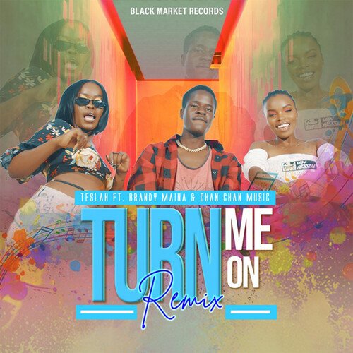 Turn Me On (Remix)_poster_image