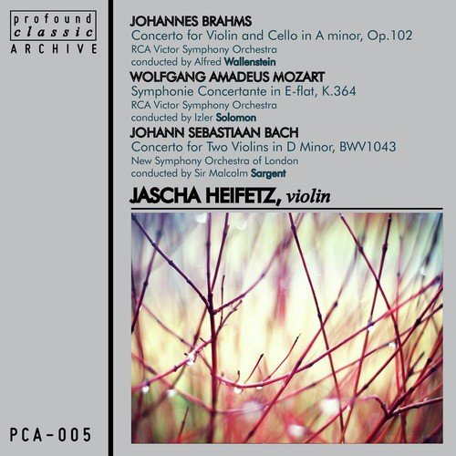 Concerto for 2 Violins, Strings & Continuo in D Minor (Double), BWV 1043: III. Allegro