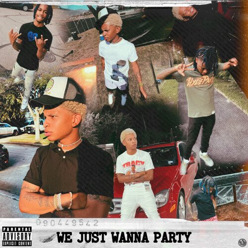 We Just Wanna Party cover art