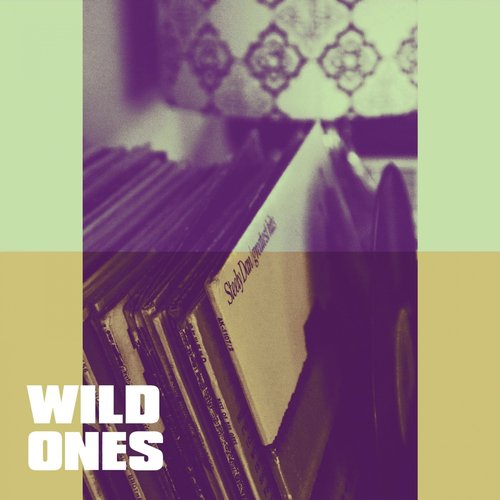 Wild Ones