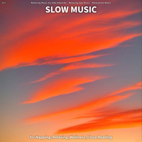 Dreamy Tunes cover art