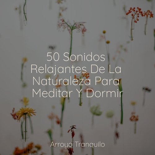 50 Sonidos Relajantes De La Naturaleza Para Meditar Y Dormir