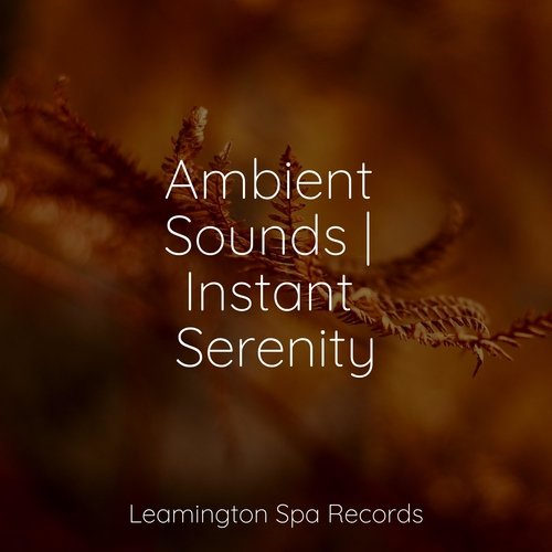 Ambient Sounds | Instant Serenity