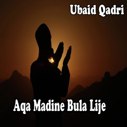 Ubaid Qadri