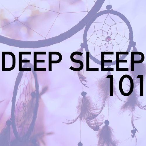 Deep Sleep Through the Night 101