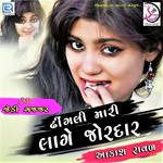 Dhingali Mari Lage Jordar