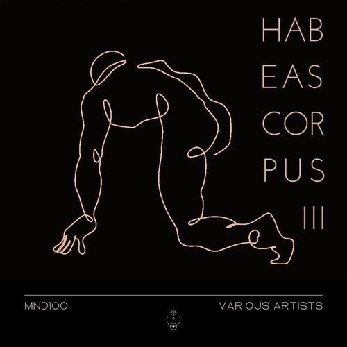 Habeas Corpus 3