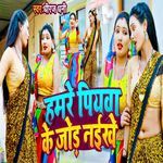 Hamre Piywa Ke Jora Naikhe