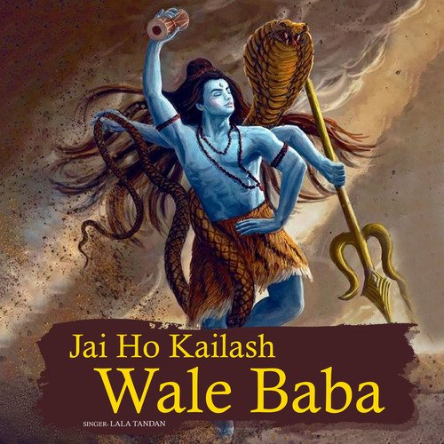 Jai Ho Kailash Wale Baba