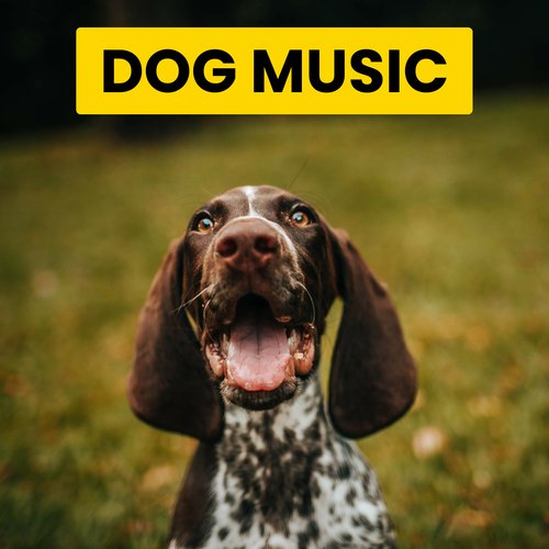 Marvellous Backdrops for Happy Dog Zone cover art