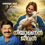 Neeyanen Jeevan