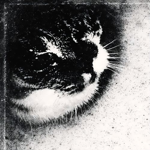 No Longer Human
