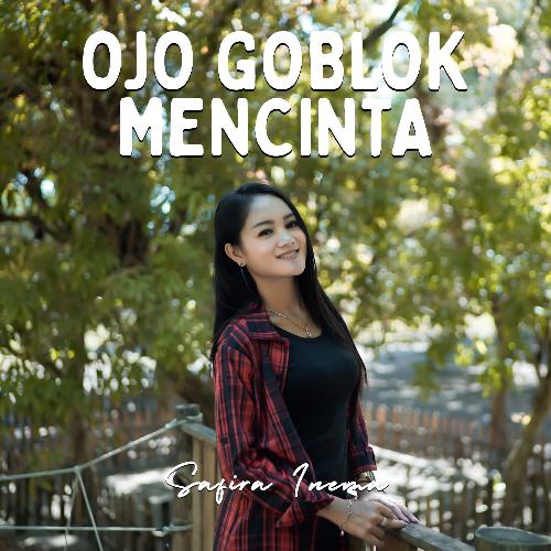 Ojo Goblok Mencinta