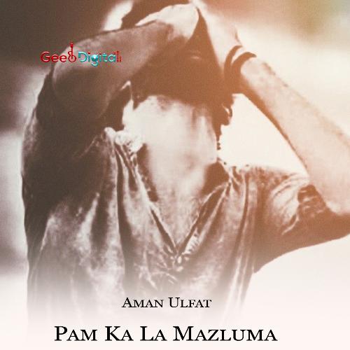 Pam Ka La Mazluma_poster_image