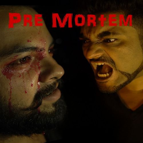 Premortem