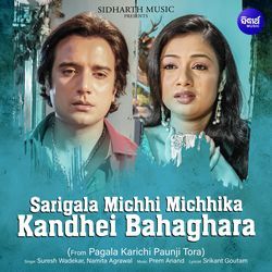 Sarigala Michhi Michhika Kandhei Bahaghara (From &quot;Pagala Karichi Paunji Tora&quot;)-KTIgRjlEZHg