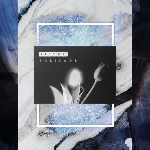 Silver Palisade