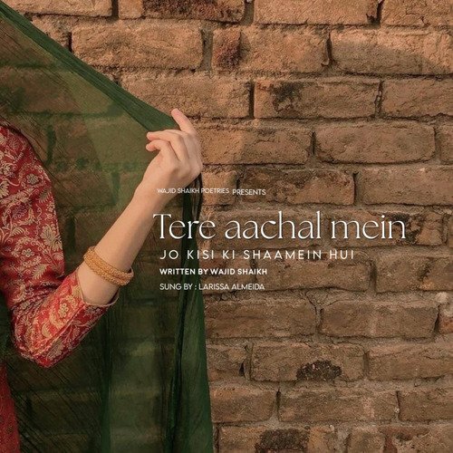Tere aachal mein
