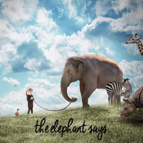 The Elephant Says: 20 Great Animal Sounds for Your Child to Laugh and Learn_poster_image