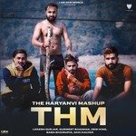 The Haryanvi Mashup