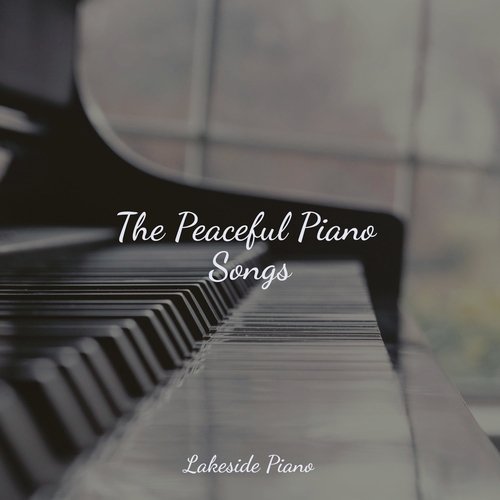 The Peaceful Piano Songs