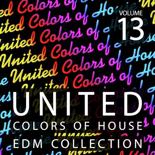 United Colors Of House, Vol. 13